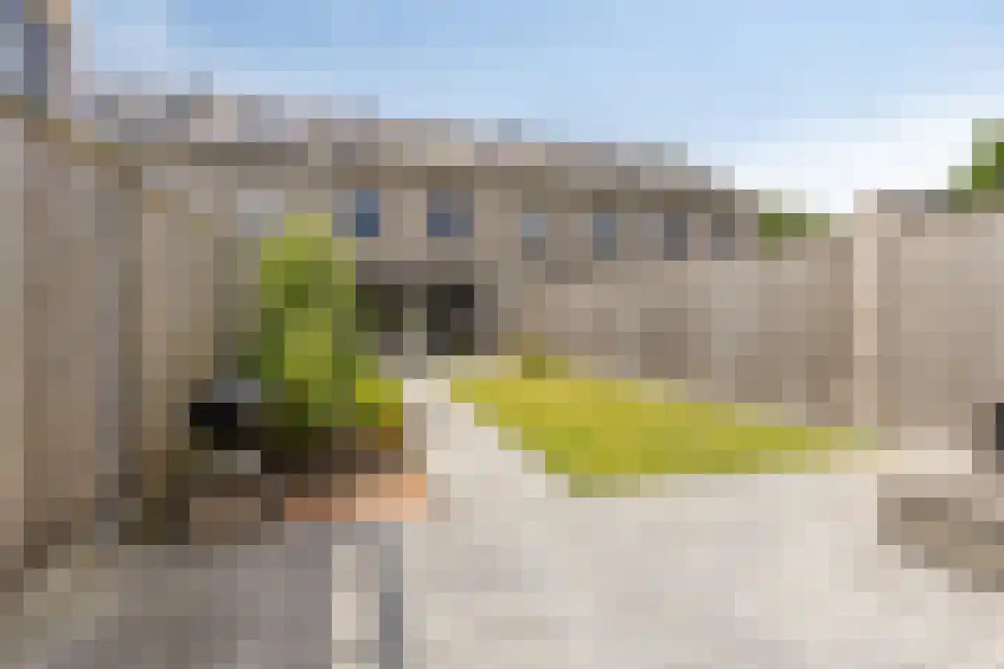 Glanslibel 18 Son en Breugel thumbnail 32