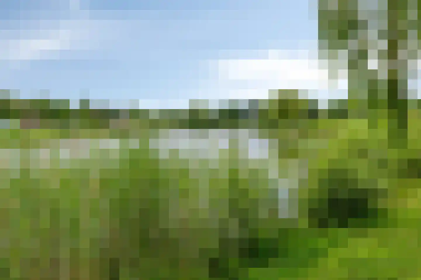 Glanslibel 18 Son en Breugel thumbnail 42