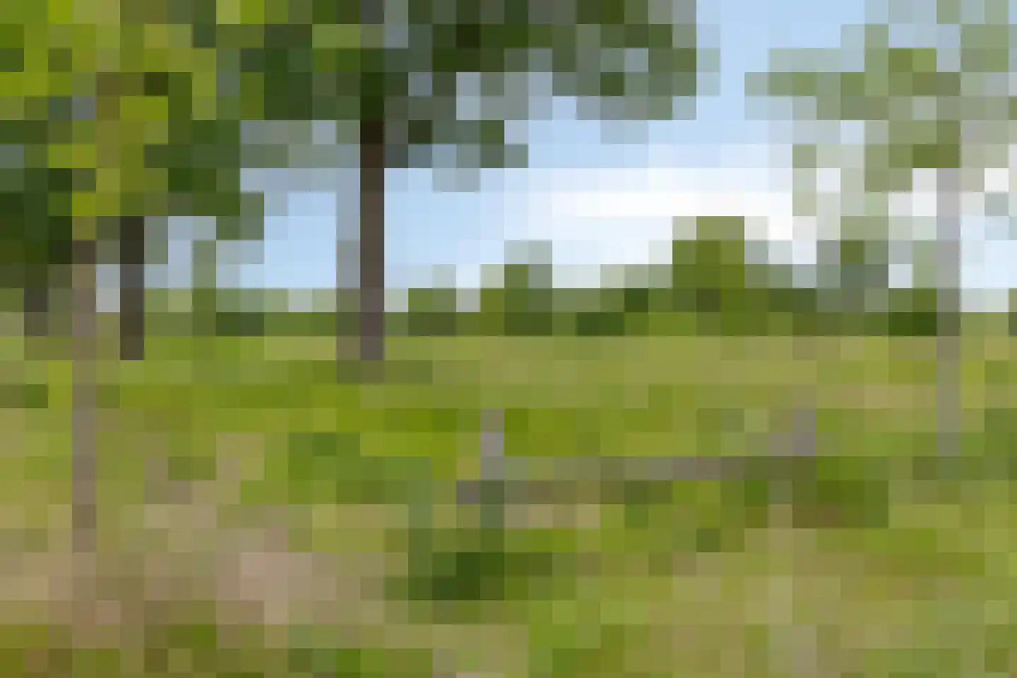 Glanslibel 18 Son en Breugel thumbnail 44