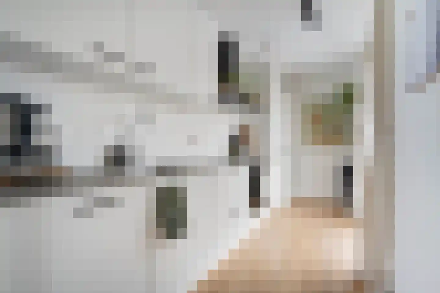 Glansvogellaan 3 Den Haag thumbnail 15