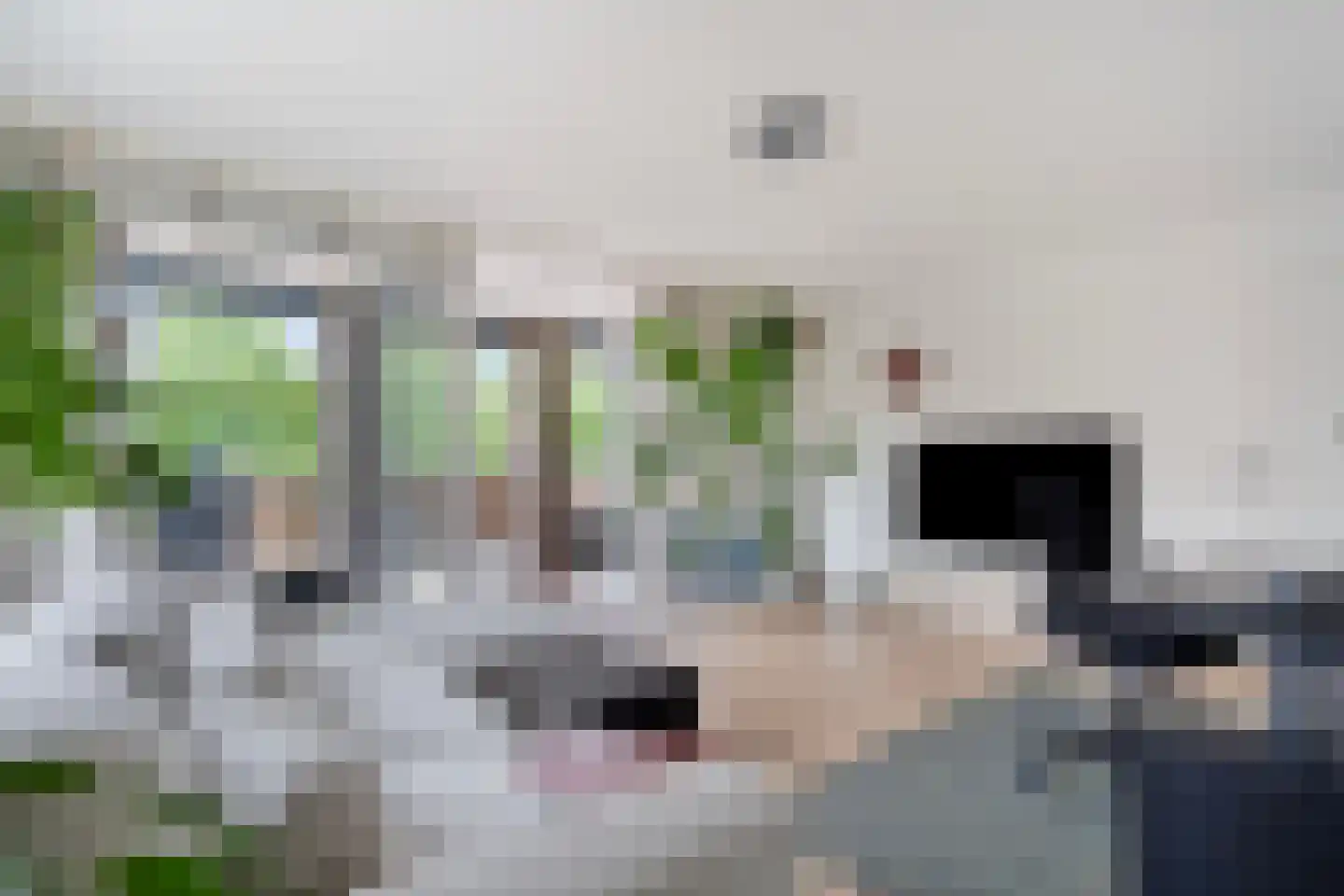 Glansvogellaan 3 Den Haag thumbnail 21