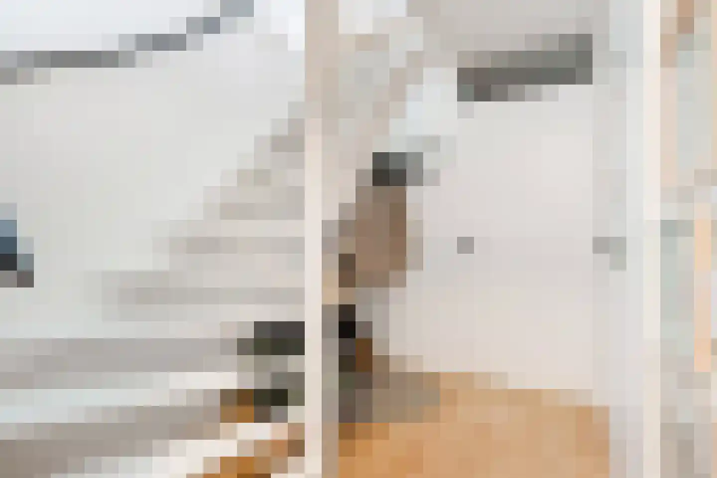 Glansvogellaan 3 Den Haag thumbnail 8