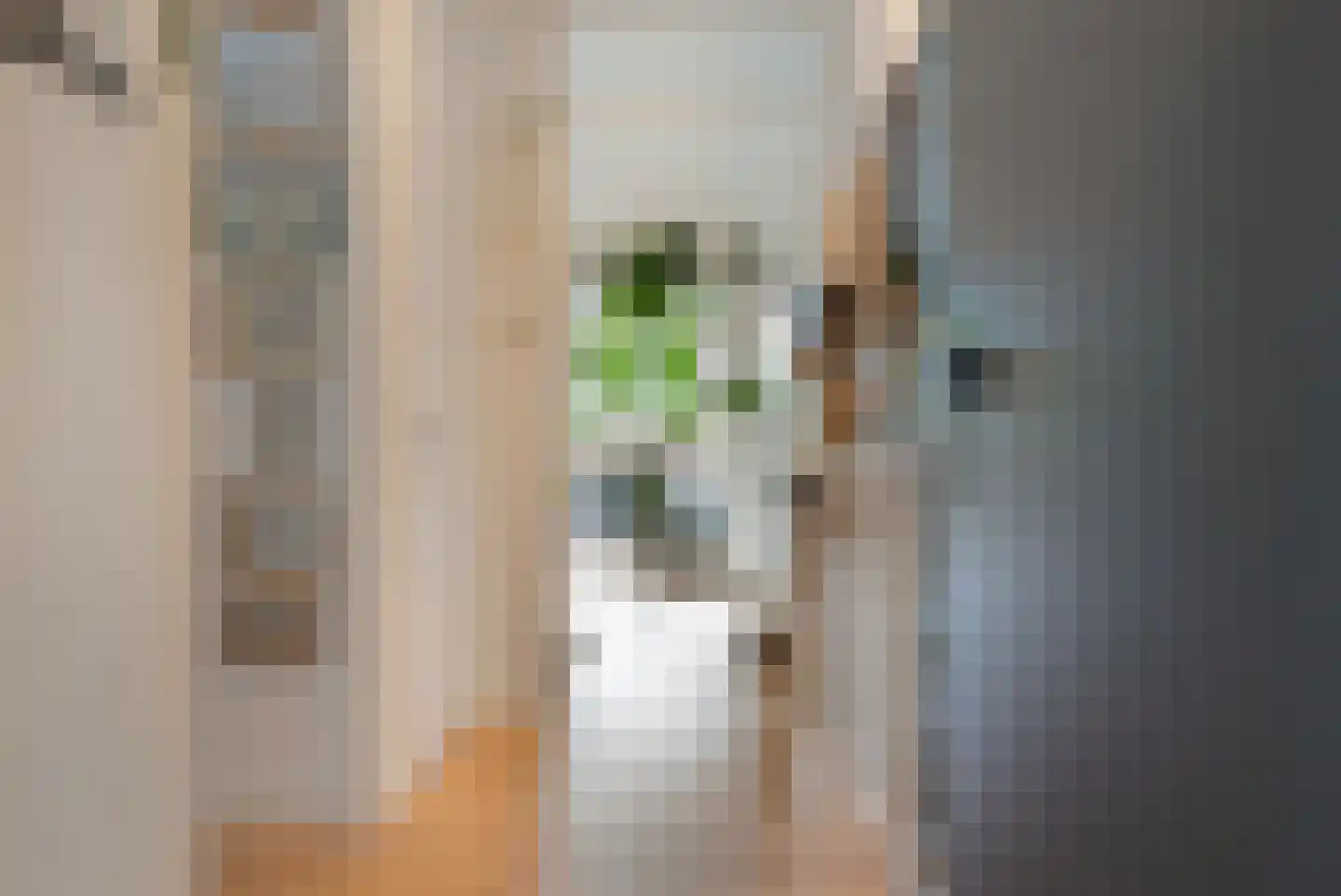 Glansvogellaan 3 Den Haag thumbnail 9