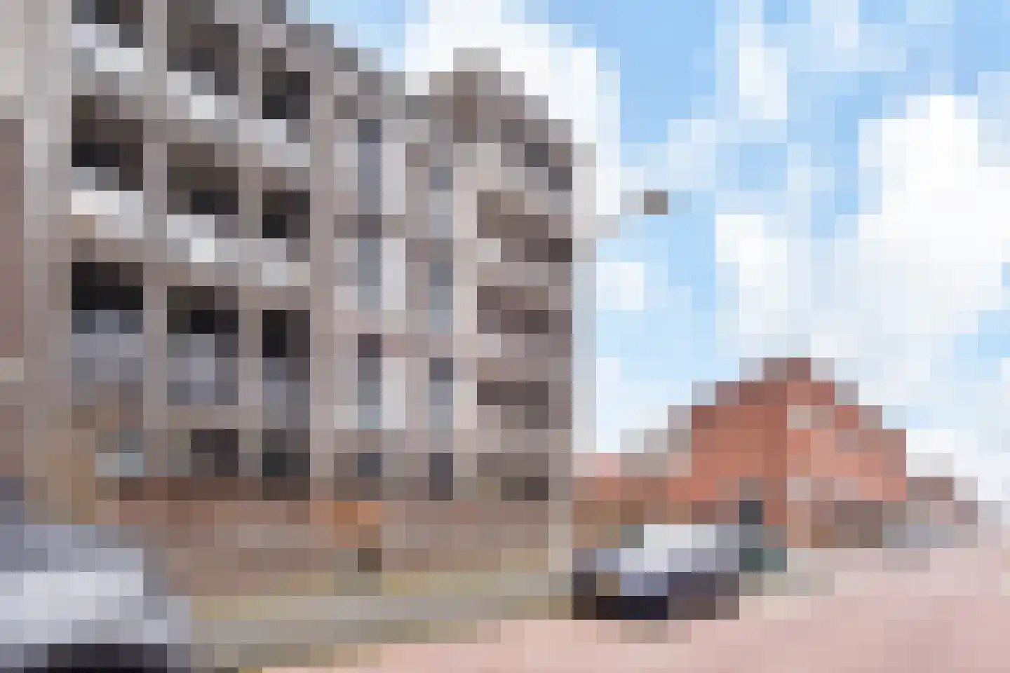 Glansvogellaan 5 Den Haag thumbnail 6