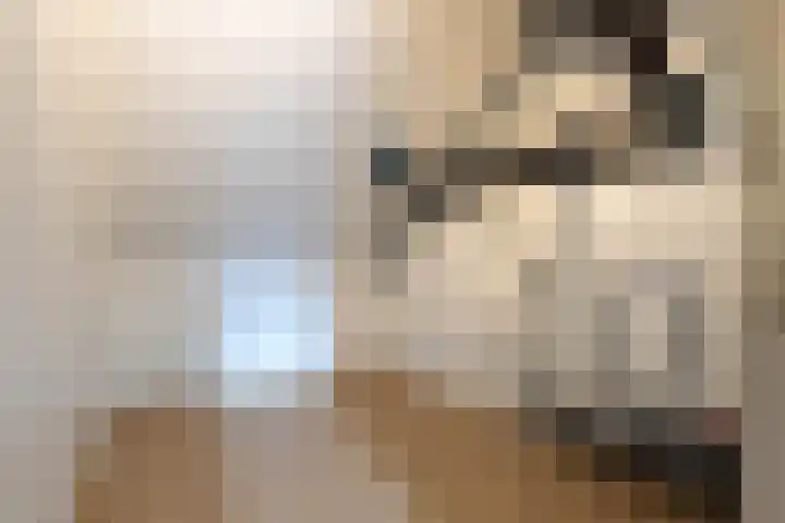 Glanswier 26 Roelofarendsveen thumbnail 35