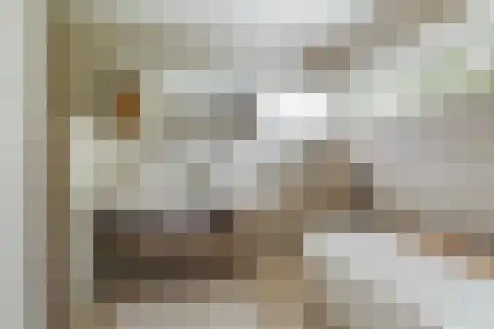 Glanswierstraat 19 Rotterdam thumbnail 30