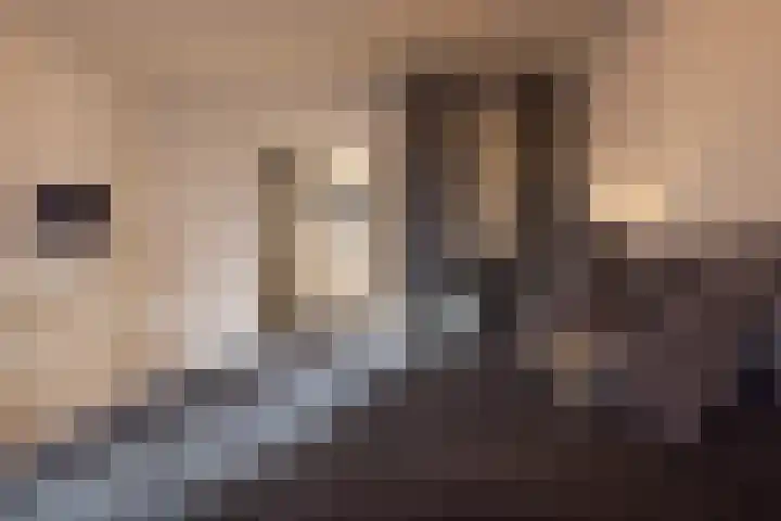 Glanswierstraat 5 Rotterdam thumbnail 26
