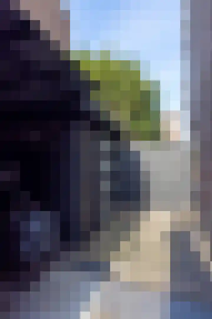 Glanswierstraat 5 Rotterdam thumbnail 51