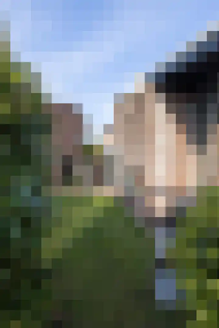 Glanswierstraat 5 Rotterdam thumbnail 52