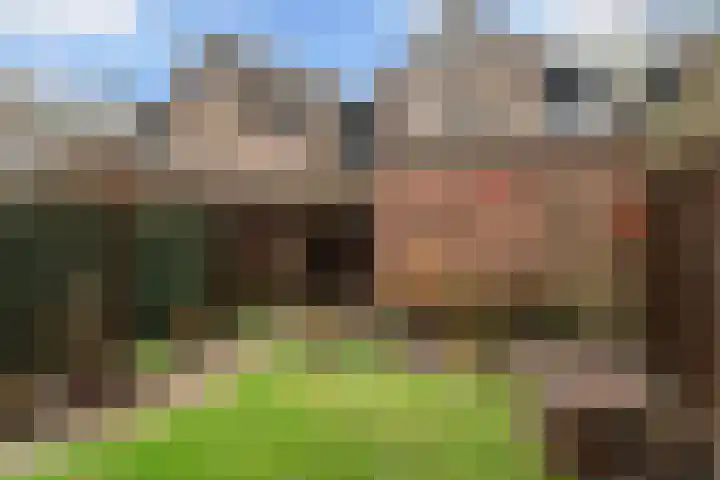 Glanswit 15 Zoetermeer thumbnail 13