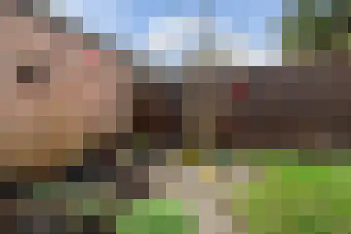 Glanswit 15 Zoetermeer thumbnail 14
