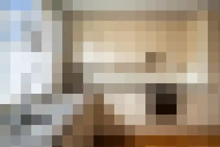 Glanswit 15 Zoetermeer thumbnail 19