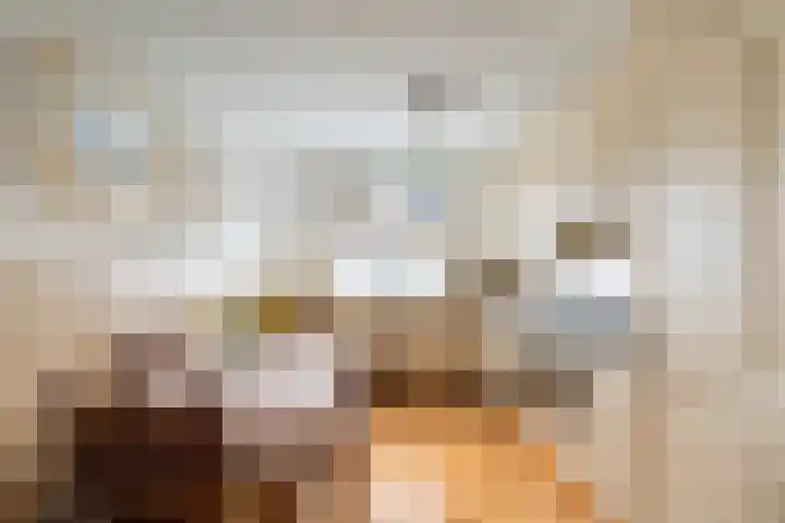 Glanswit 15 Zoetermeer thumbnail 5