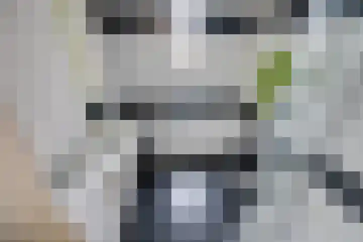 Glanswit 15 Zoetermeer thumbnail 6