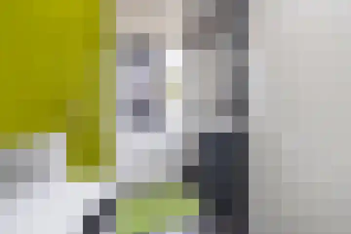 Glanzerhof 19 A Helmond thumbnail 4
