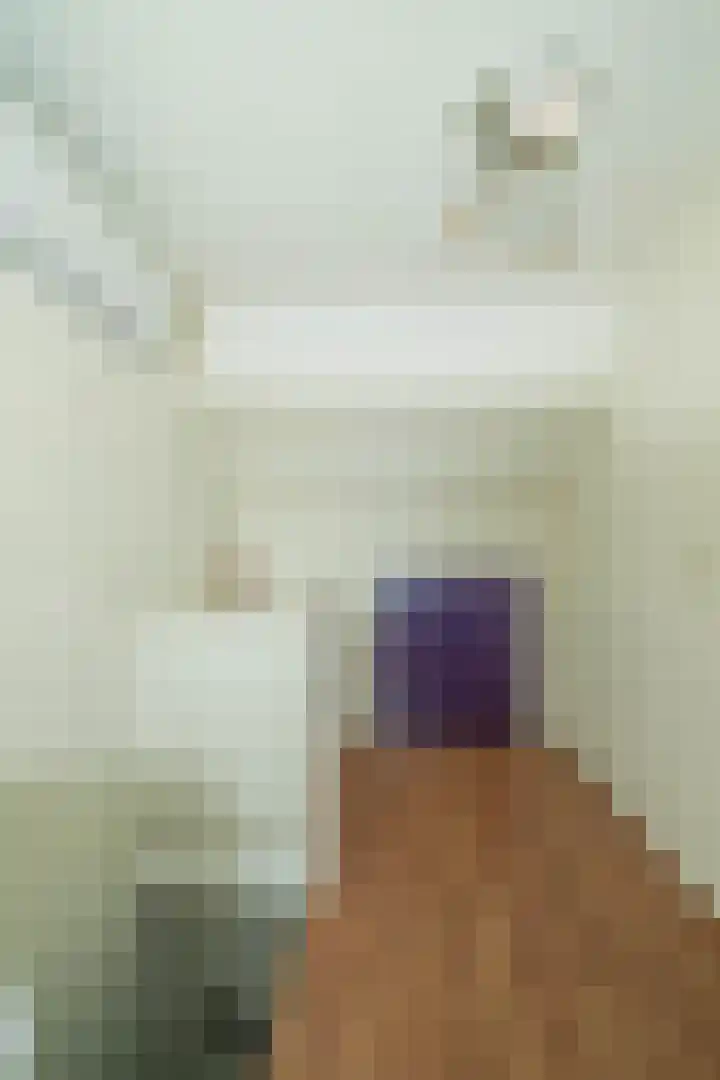 Glanzerhof 37 Helmond thumbnail 30