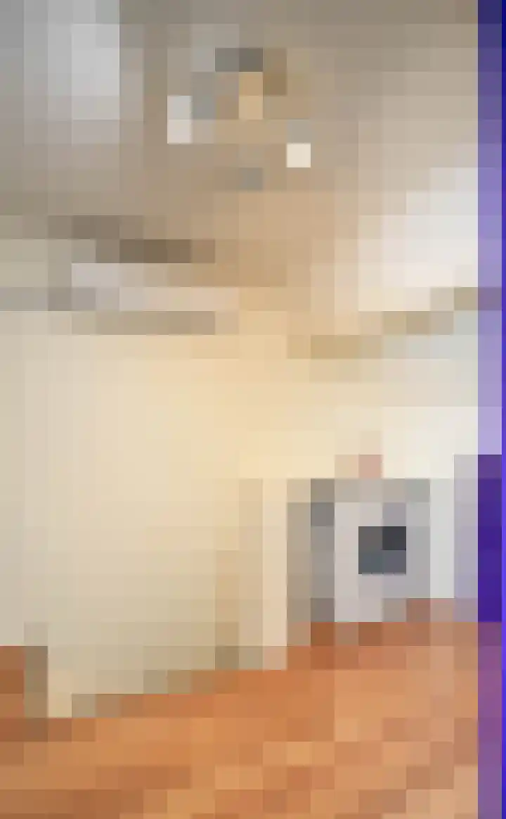 Glanzerhof 37 Helmond thumbnail 31