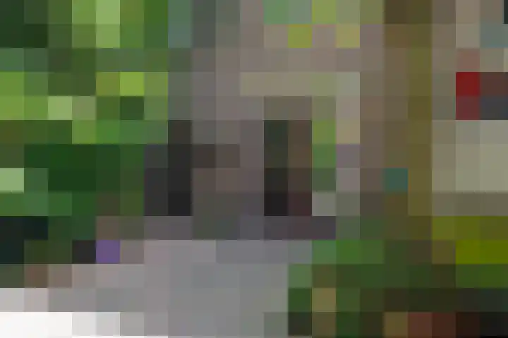 Glanzerhof 37 Helmond thumbnail 35