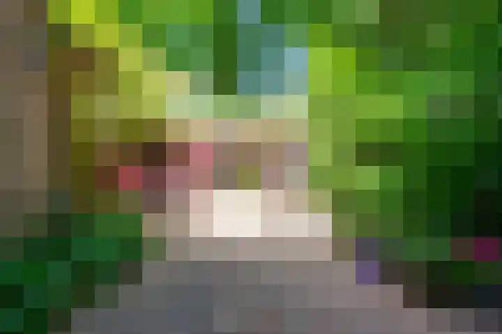 Glanzerhof 37 Helmond thumbnail 37