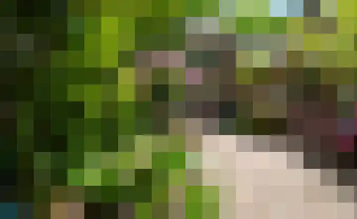 Glanzerhof 37 Helmond thumbnail 42