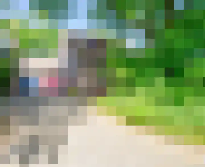 Glanzerhof 37 Helmond thumbnail 47