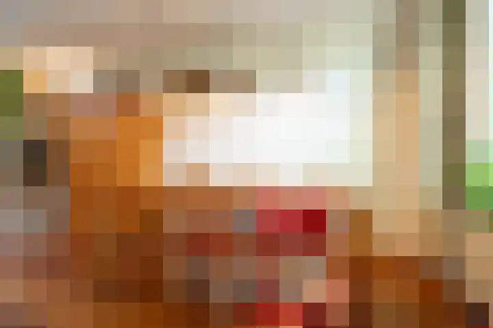 Glanzerhof 37 Helmond thumbnail 8