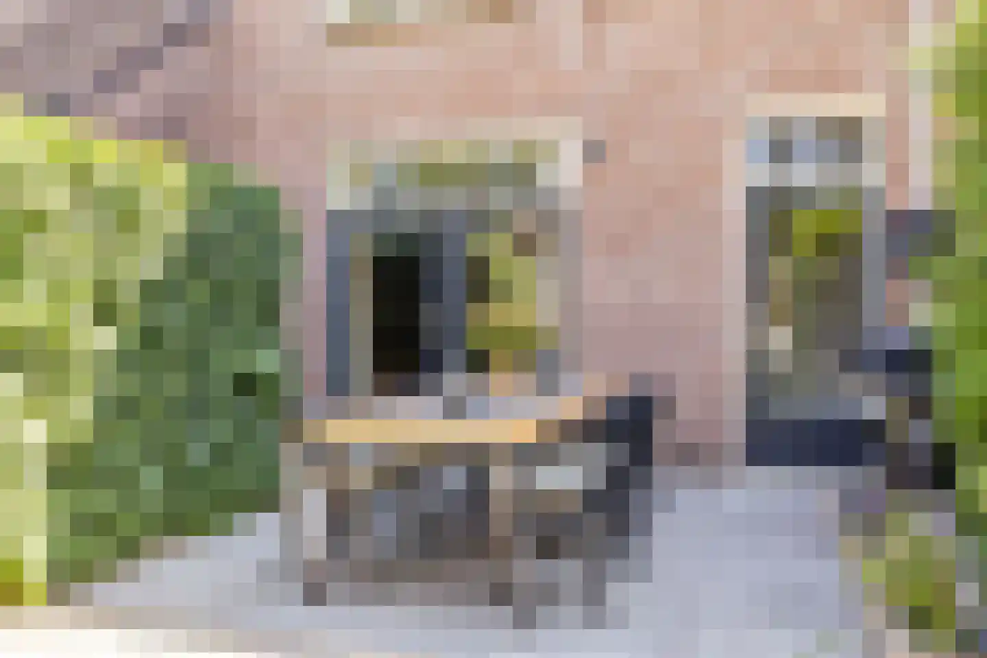 Glanzerhof 43 Helmond thumbnail 28