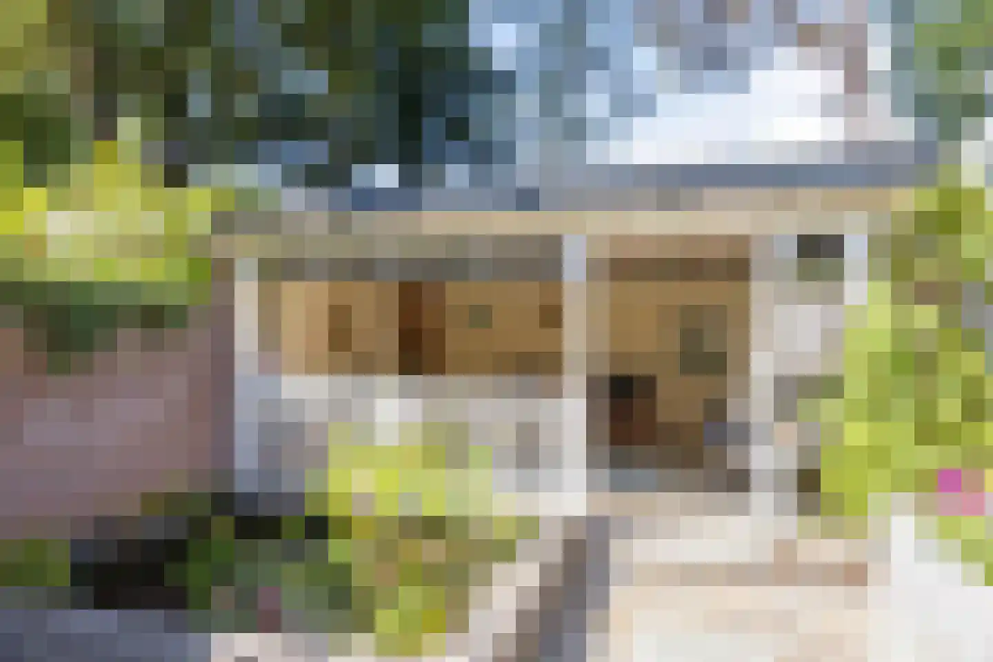 Glanzerhof 43 Helmond thumbnail 31