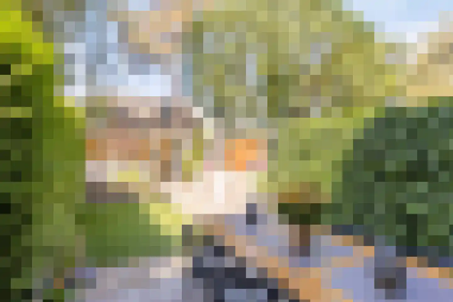 Glanzerhof 43 Helmond thumbnail 7