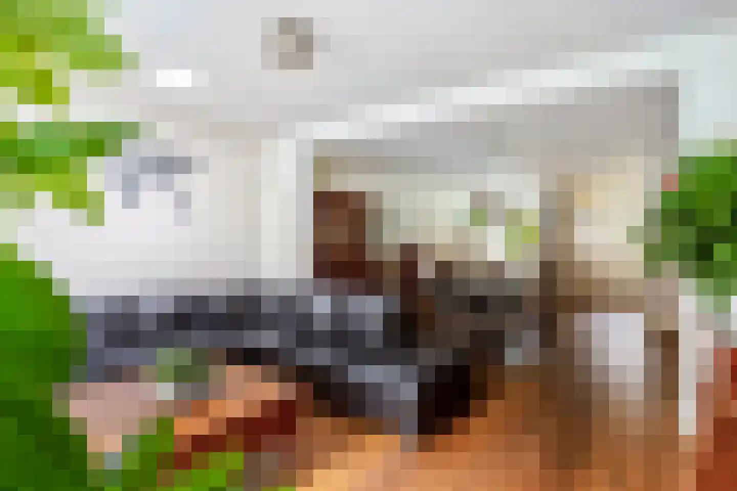 Glanzerhof 60 Helmond thumbnail 12