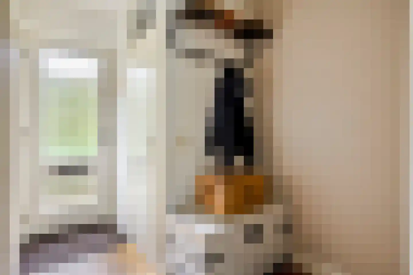 Glanzerhof 60 Helmond thumbnail 9