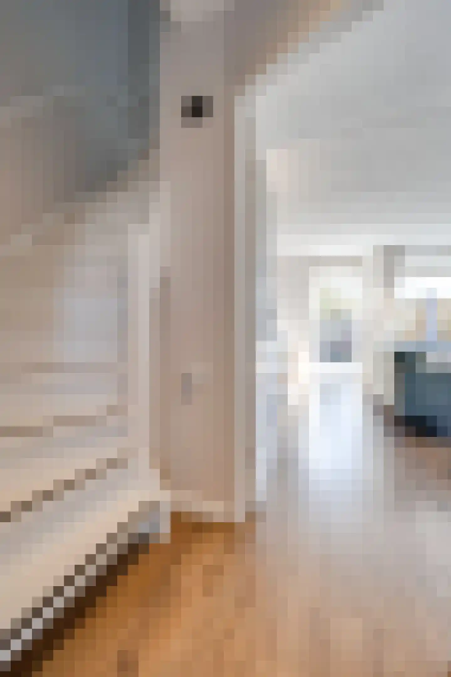 Glasaal 7 Zuid-Scharwoude thumbnail 12