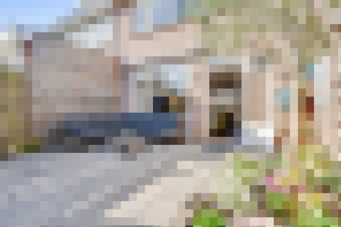 Glasaal 7 Zuid-Scharwoude thumbnail 32