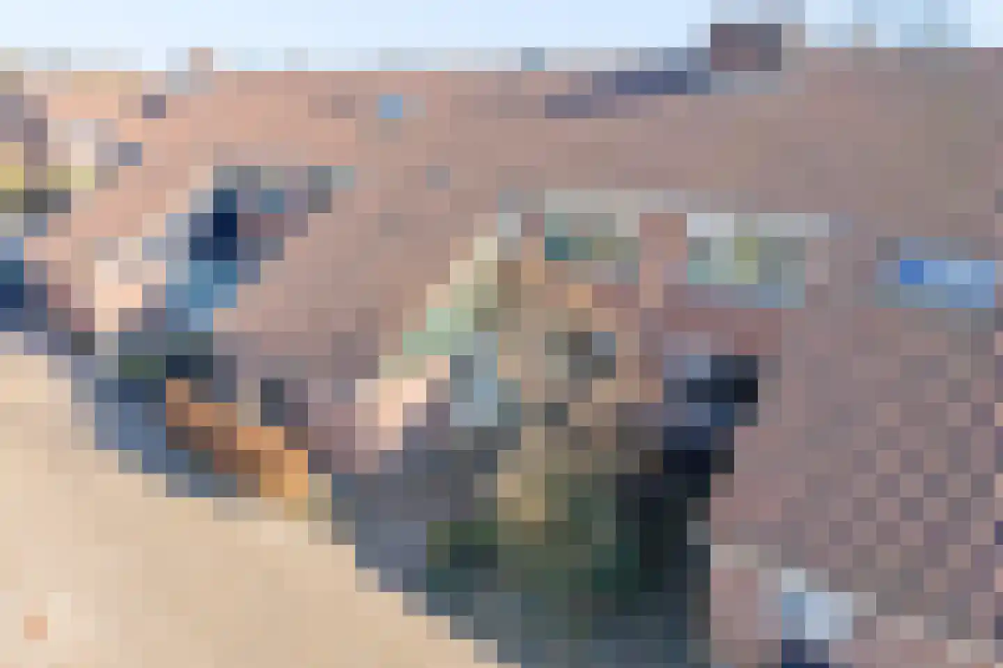 Glasaal 7 Zuid-Scharwoude thumbnail 38