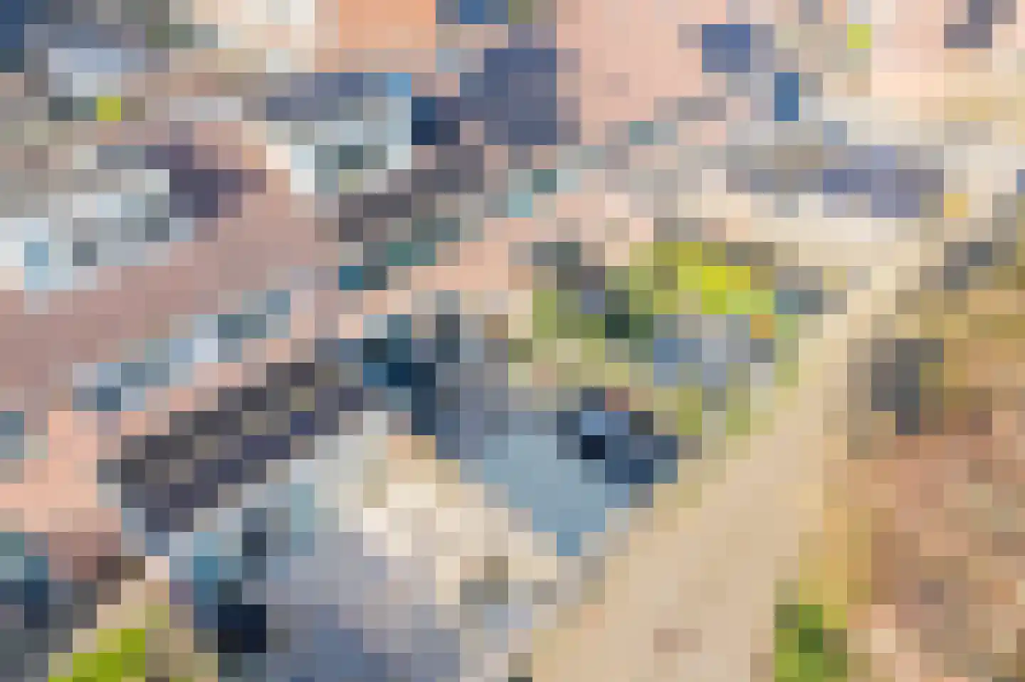 Glasaal 7 Zuid-Scharwoude thumbnail 39