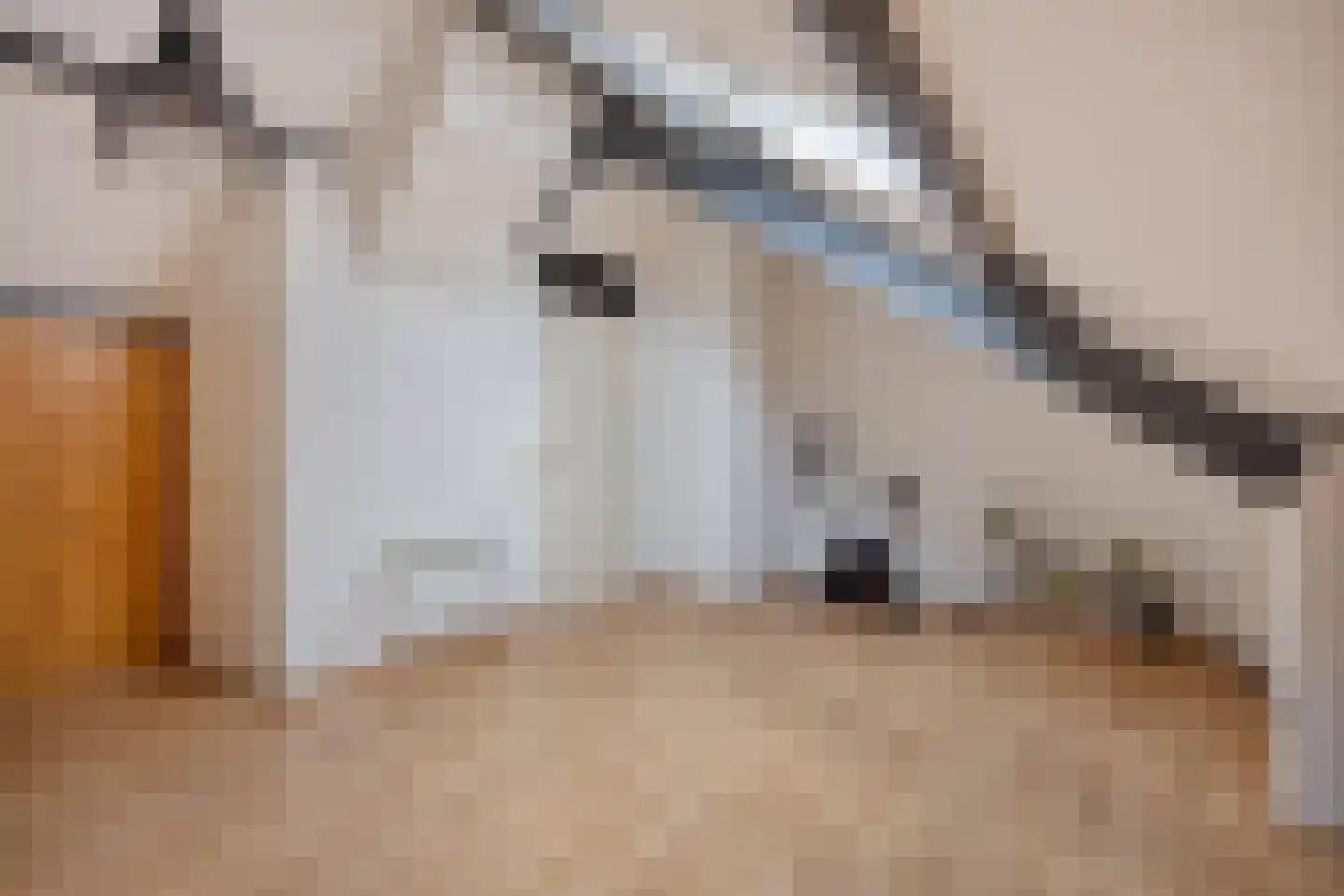 Glasblazererf 12 Roermond thumbnail 29