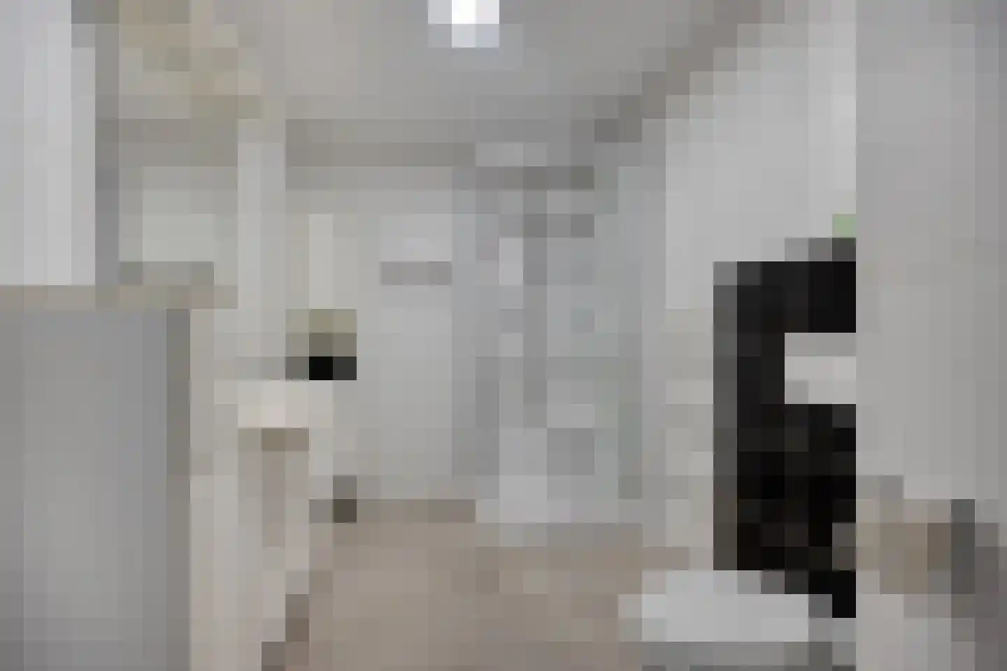 Glasblazererf 12 Roermond thumbnail 5