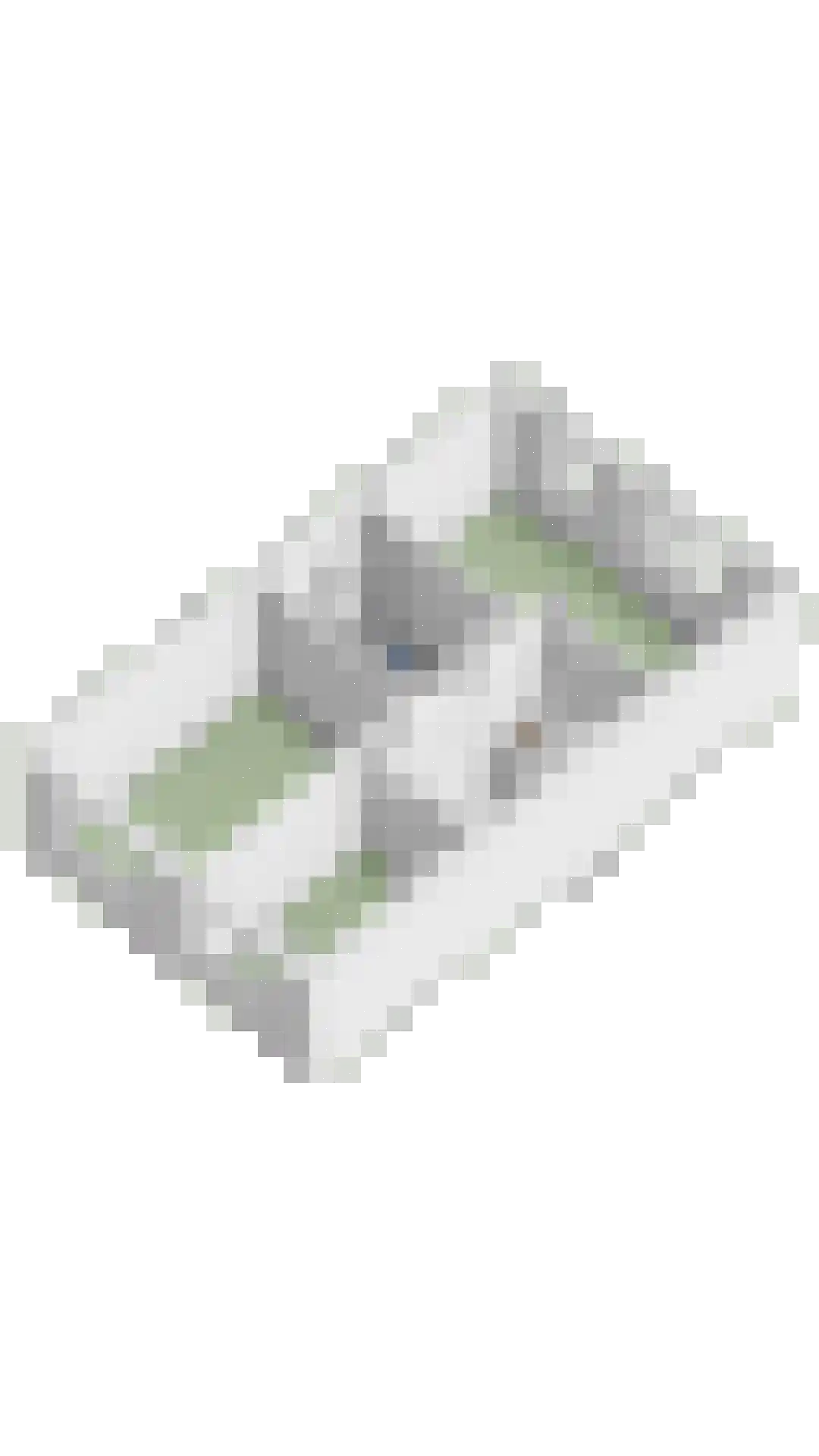 Glasblazererf 12 Roermond thumbnail 52