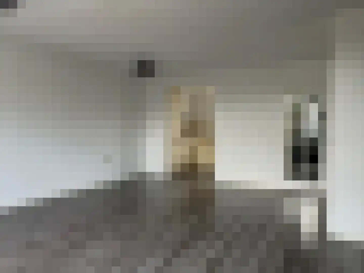 Glasblazerstraat 24 Purmerend thumbnail 6