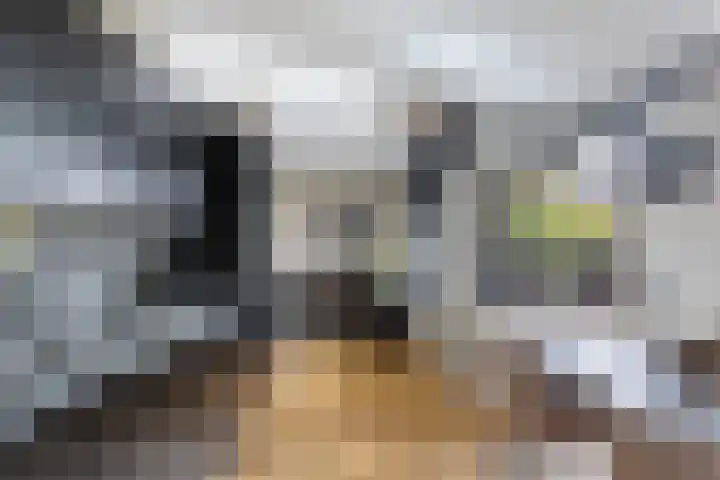 Glashaven 11 Rotterdam thumbnail 10