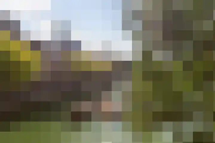 Glashaven 11 Rotterdam thumbnail 12