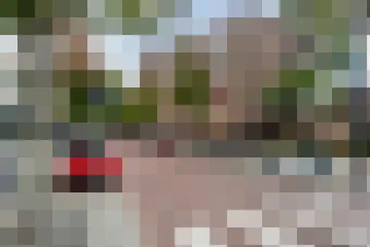 Glashaven 11 Rotterdam thumbnail 17