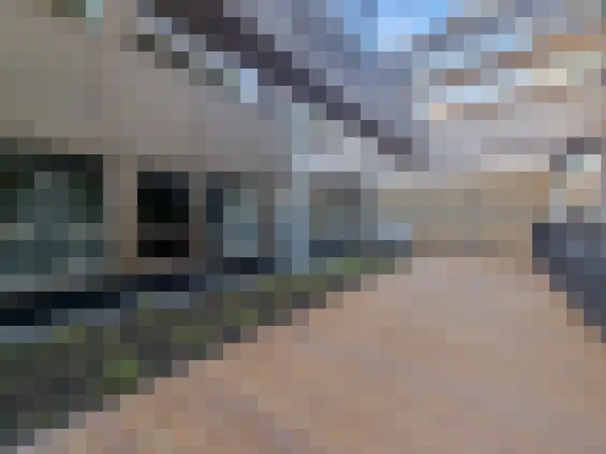Glashaven 12 Rotterdam thumbnail 6