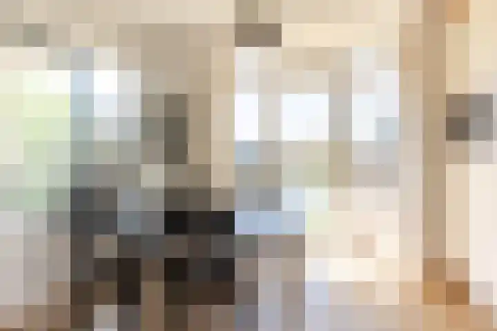 Glashaven 121 Rotterdam thumbnail 12