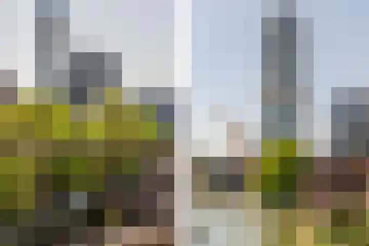 Glashaven 121 Rotterdam thumbnail 16