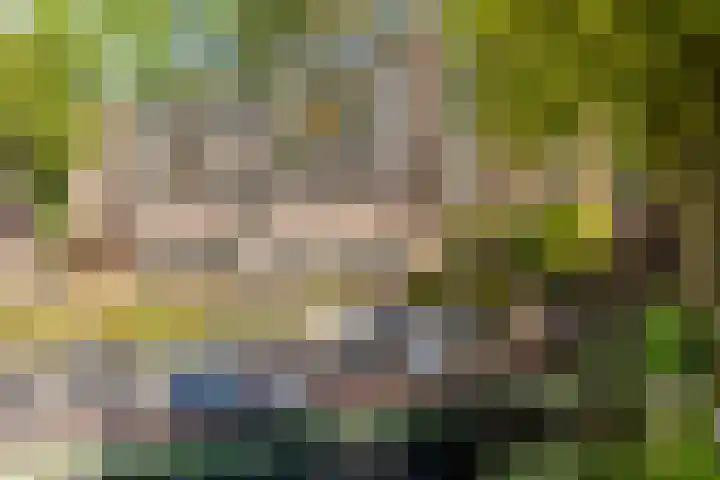Glashaven 121 Rotterdam thumbnail 24