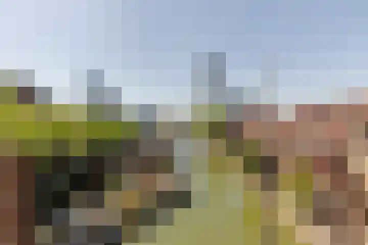 Glashaven 121 Rotterdam thumbnail 4