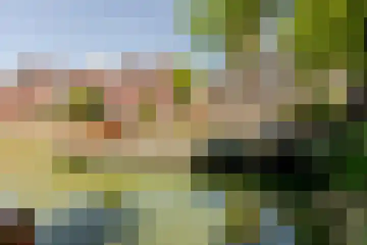 Glashaven 121 Rotterdam thumbnail 5
