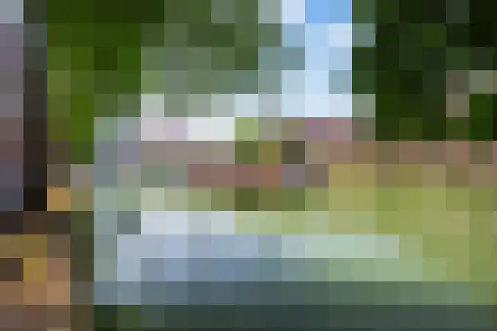 Glashaven 7 Rotterdam thumbnail 32