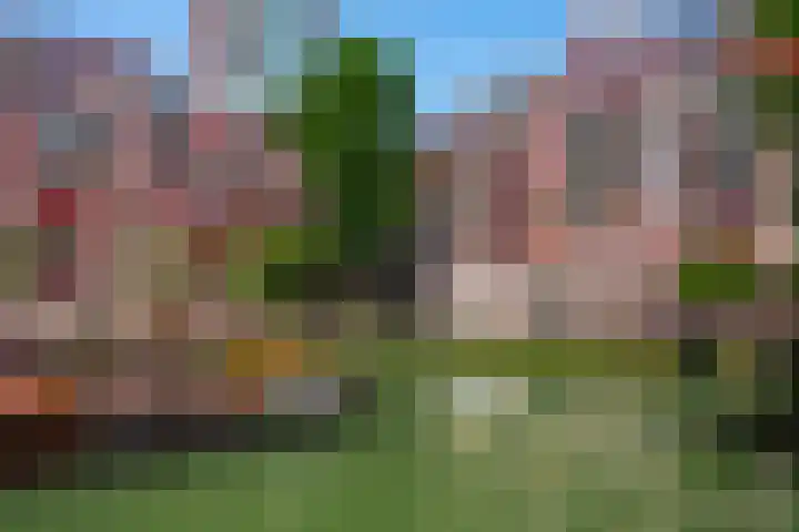 Glashaven 7 Rotterdam thumbnail 33